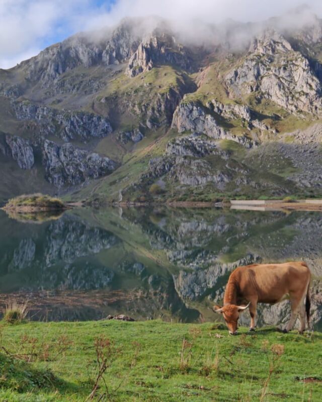 El Otoño 🍂 avanza en el Parque Natural de Somiedo y nos deja postales de cuento 🤩

Y tú ¿Aún no conoces el Parque Natural de Somiedo? ¿A qué esperas? ¡Haz tu reserva! Y ven a descubrirlo por ti mismo 😉

📲 www.lalagunasomiedo.com 

¡Os esperamos en el paraíso! 🧡

#lalagunasomiedo #alojamiento #turismorural #escapada #otoño #somiedo #paraiso #paraisonatural #asturias #cabañas #naturaleza #senderismo #slowlife #jacuzzi #travel #desconexion